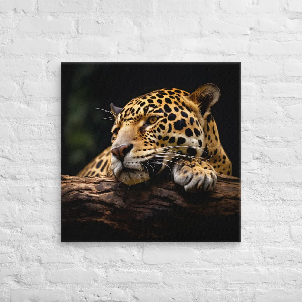 Tranquil Majesty: The Resting Leopard | Canvas | 28″×28″