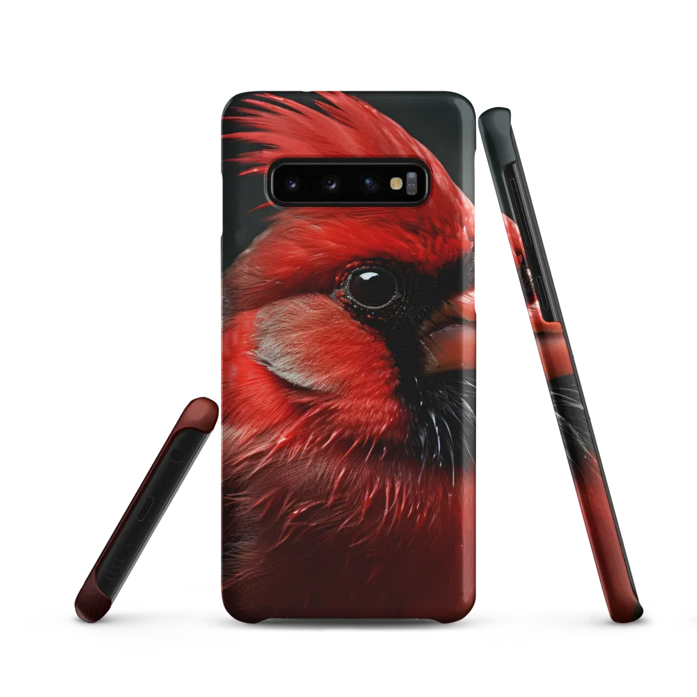 The Bold Cardinal