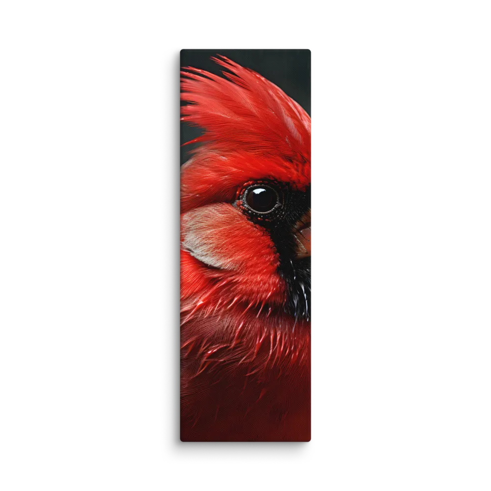 The Bold Cardinal