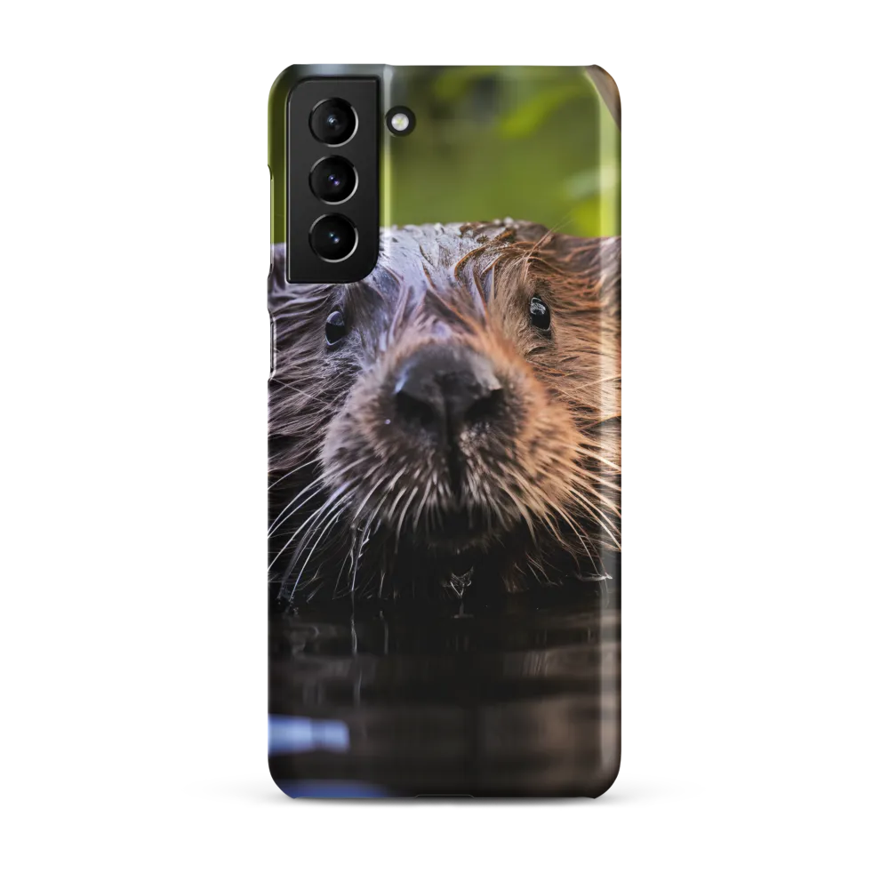 Emergence of the Beaver