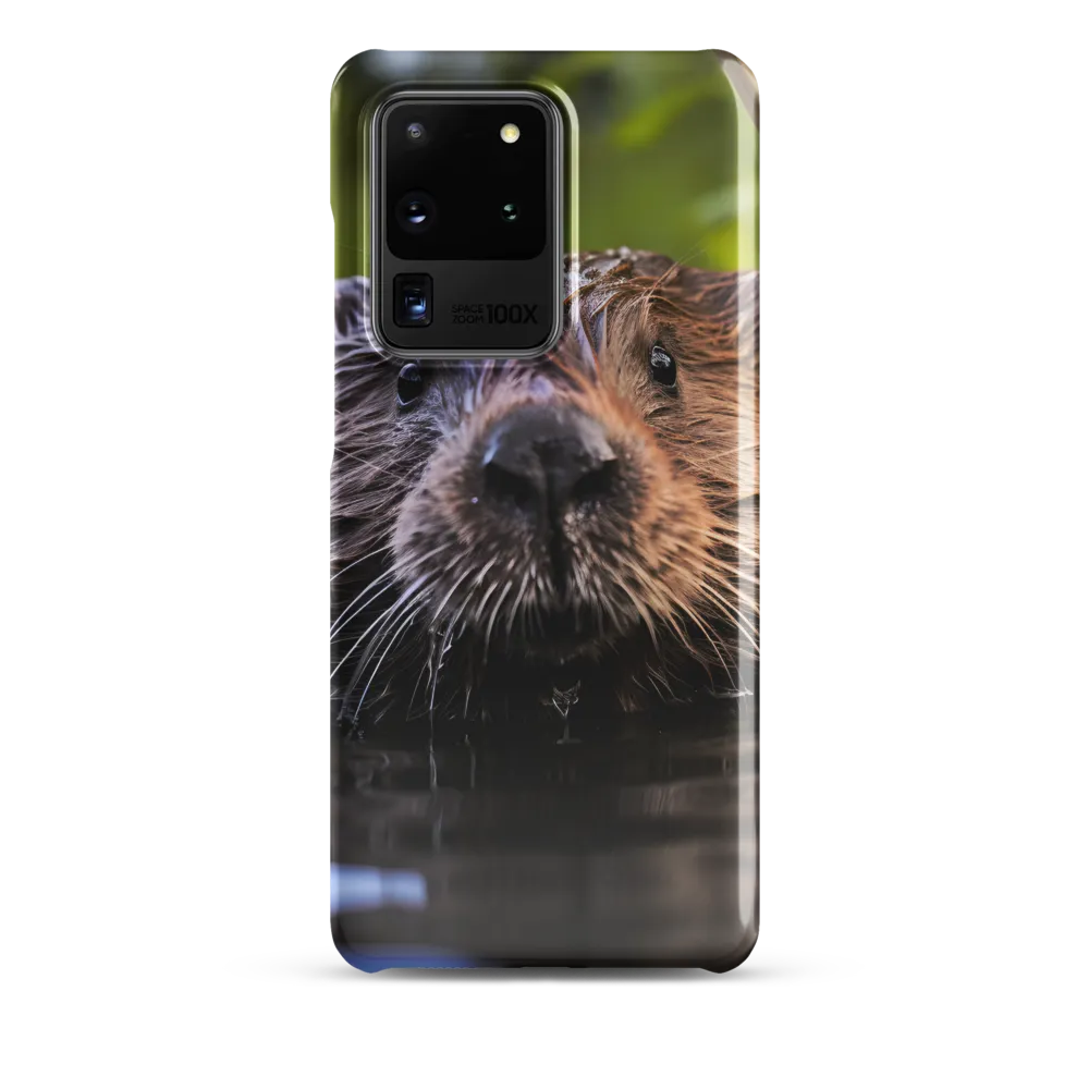 Emergence of the Beaver