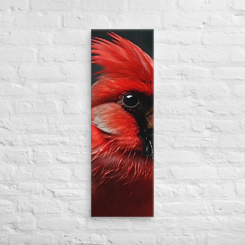 The Bold Cardinal