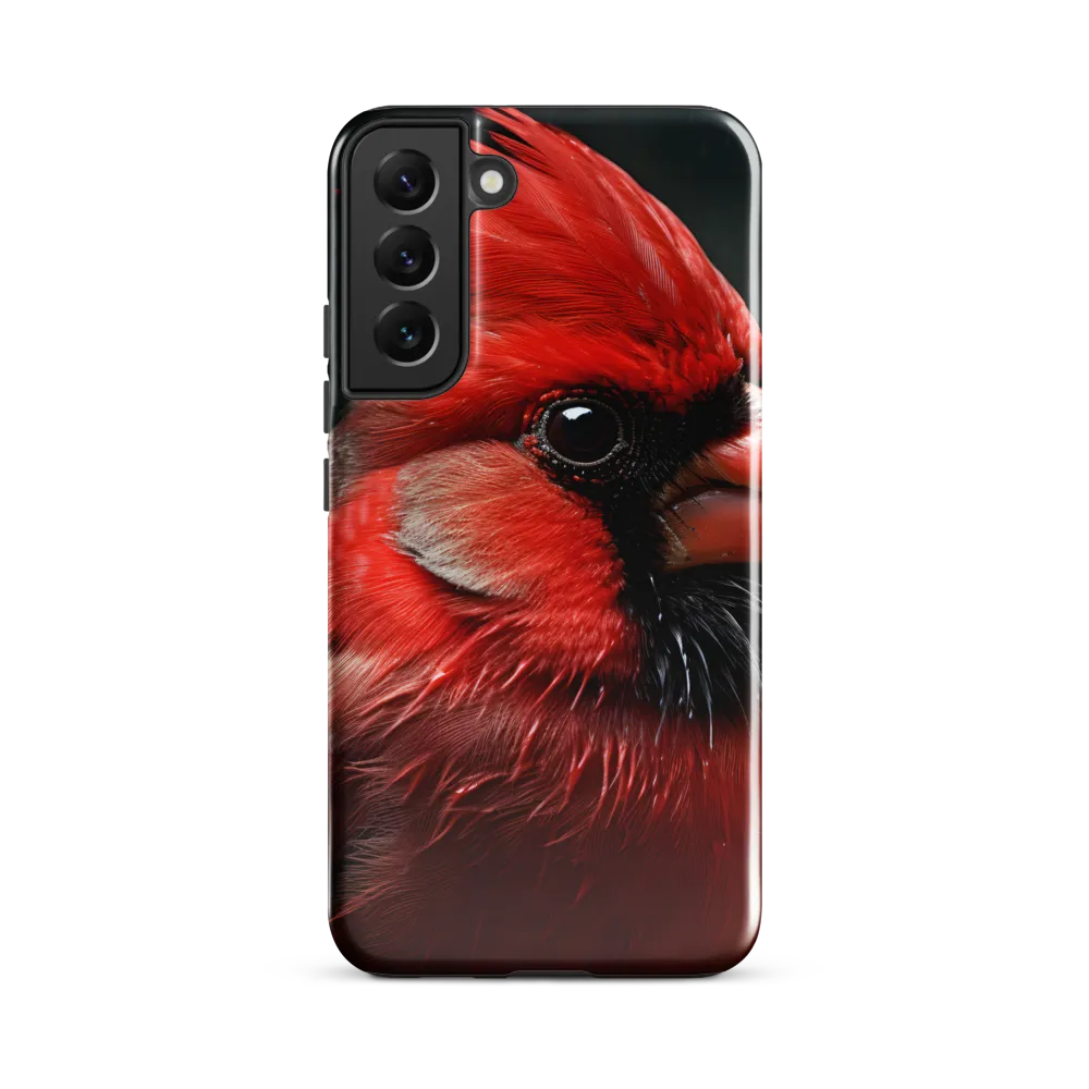 The Bold Cardinal