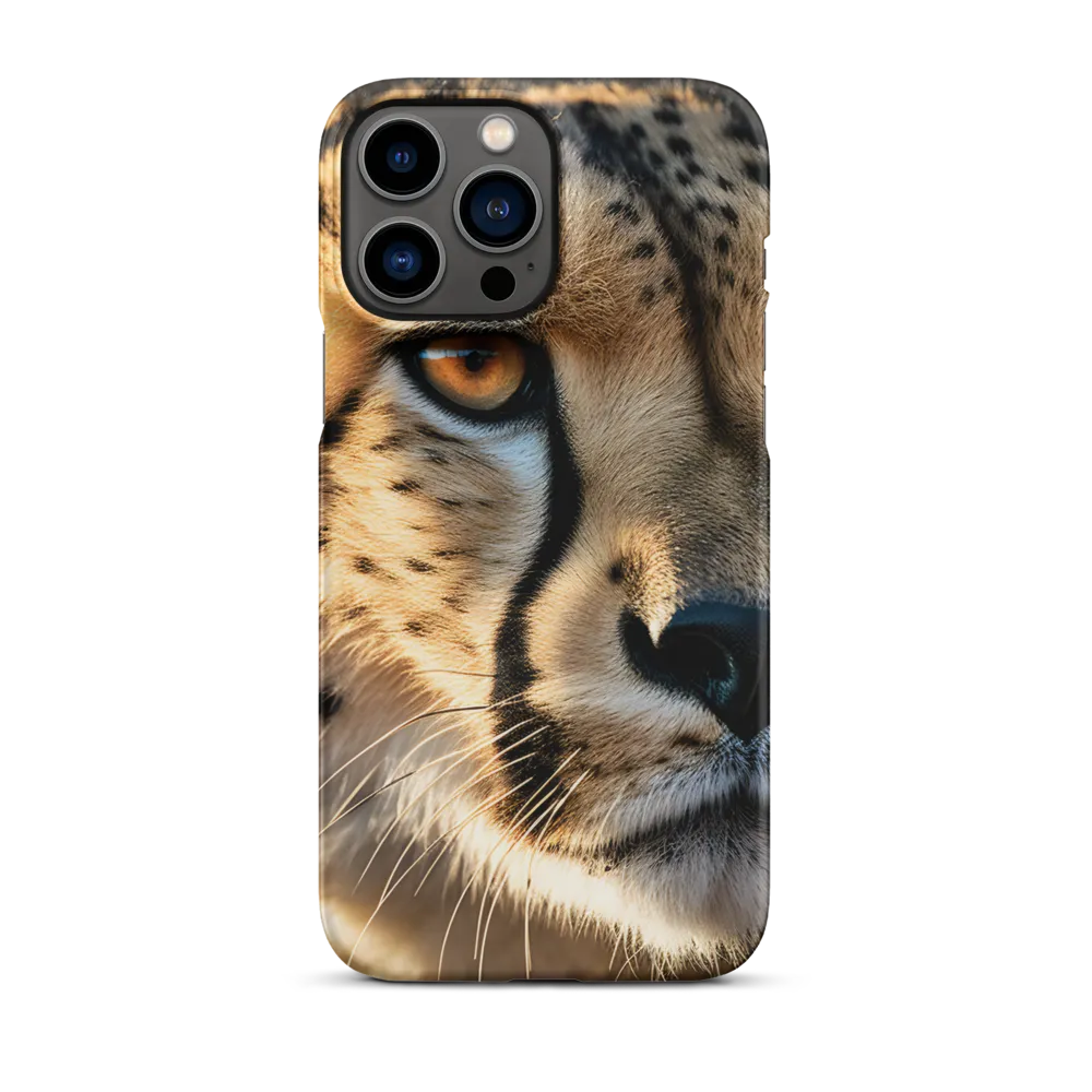 The Intense Gaze of the Cheetah