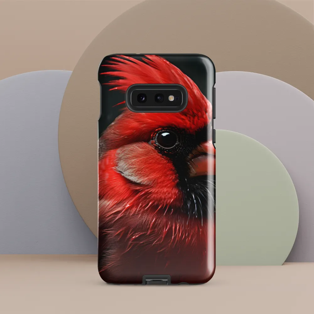 The Bold Cardinal