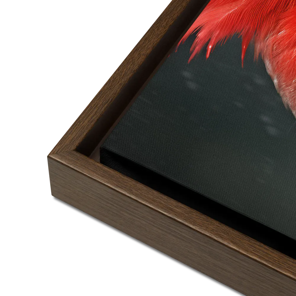 The Bold Cardinal
