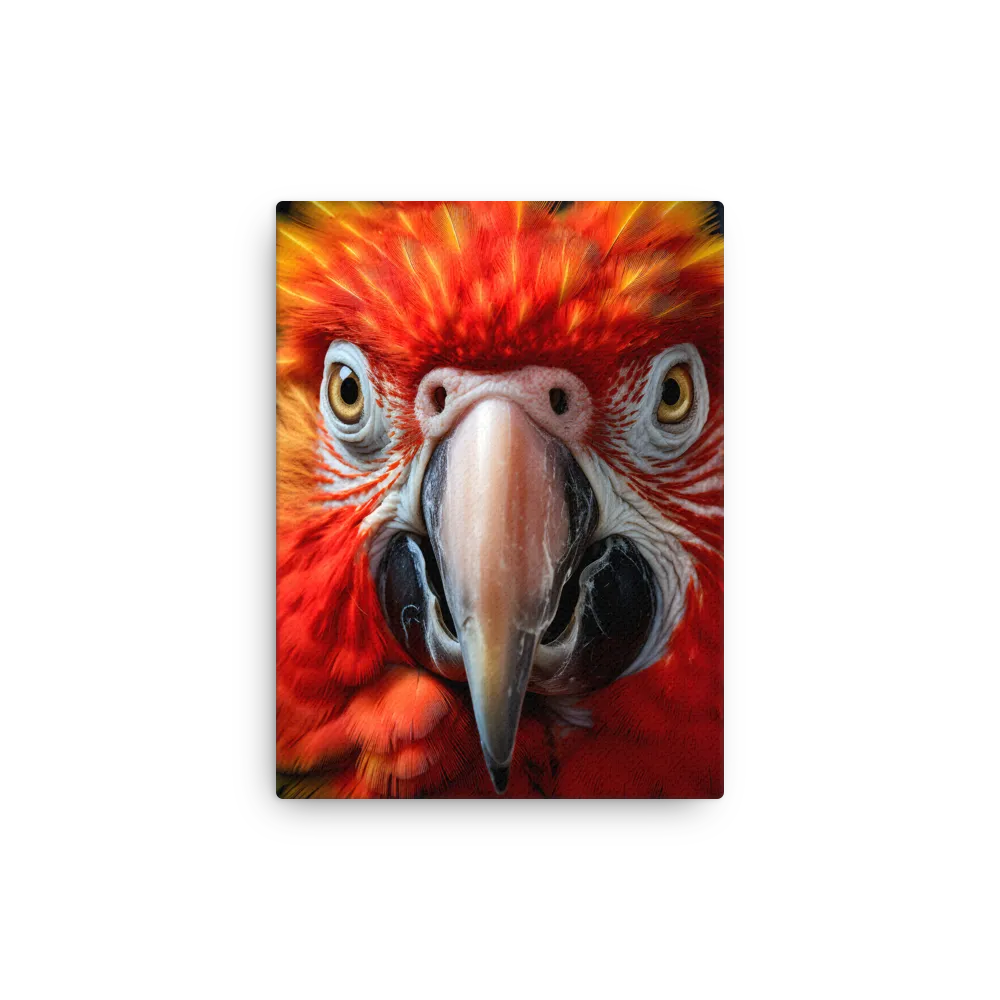 The Fiery Gaze of the Parrot